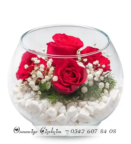 Akvaryum Vazoda Beyaz Çakıl Taşlı 5 Kırmızı Güller