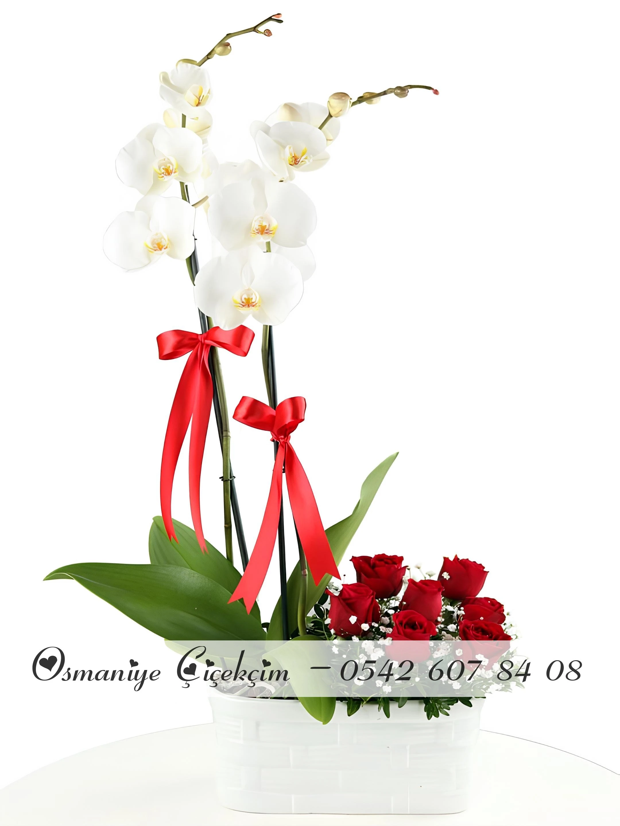 Çift Dallı Beyaz Orkide ve 7 Adet Gül