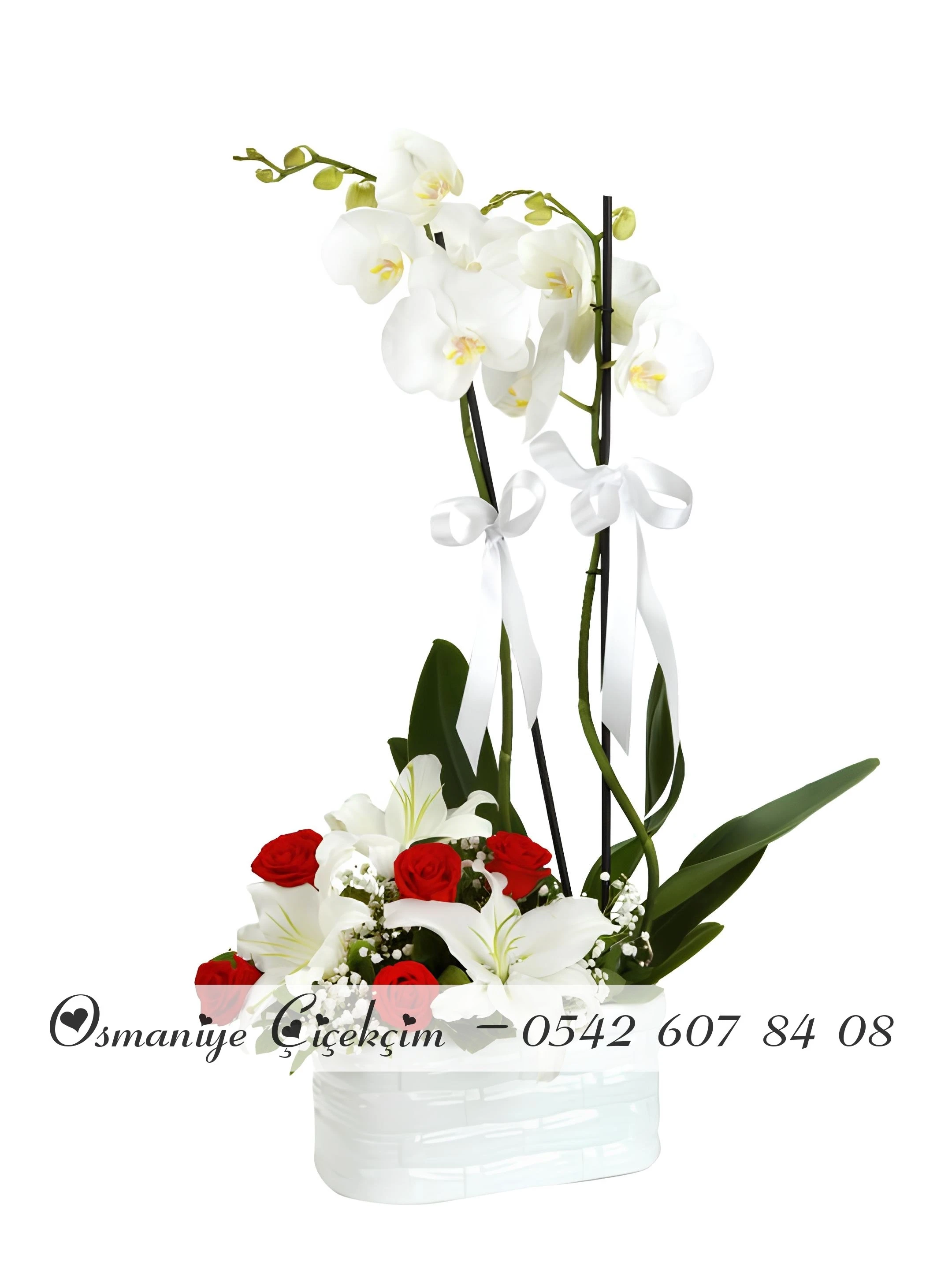 Çift Dallı Orkide ve Seramikte Güller