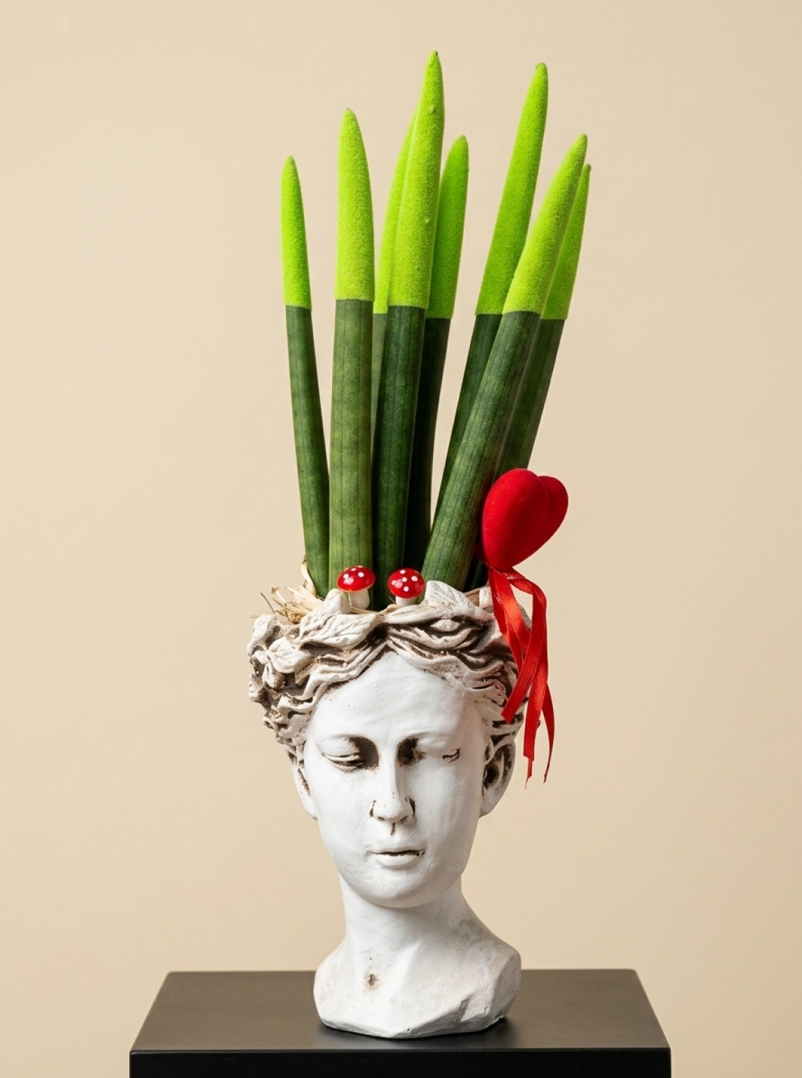 Sansevieria Floklu