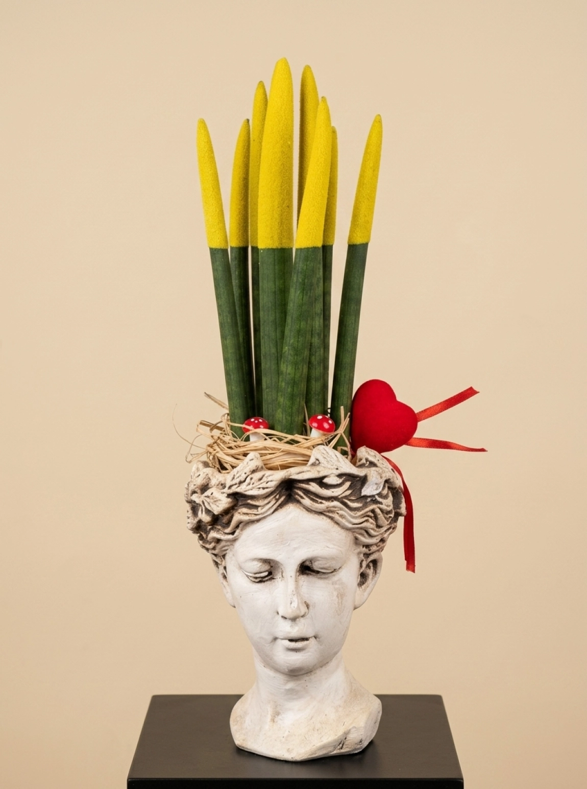 Sansevieria Floklu
