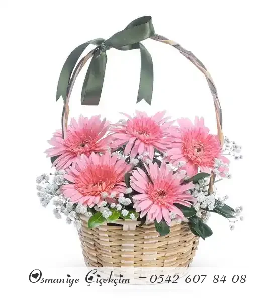 Sempatik Aşk 5 Pembe Gerbera Çiçek Sepeti
