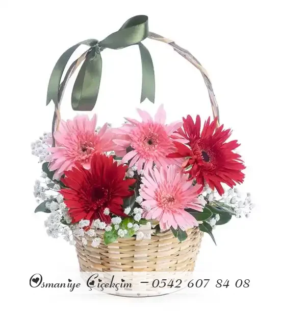 Sepet İçerisinde 7 Renkli Gerbara