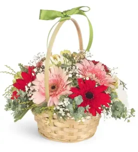 Baharın Renkleri Gerbera Çiçek Sepeti