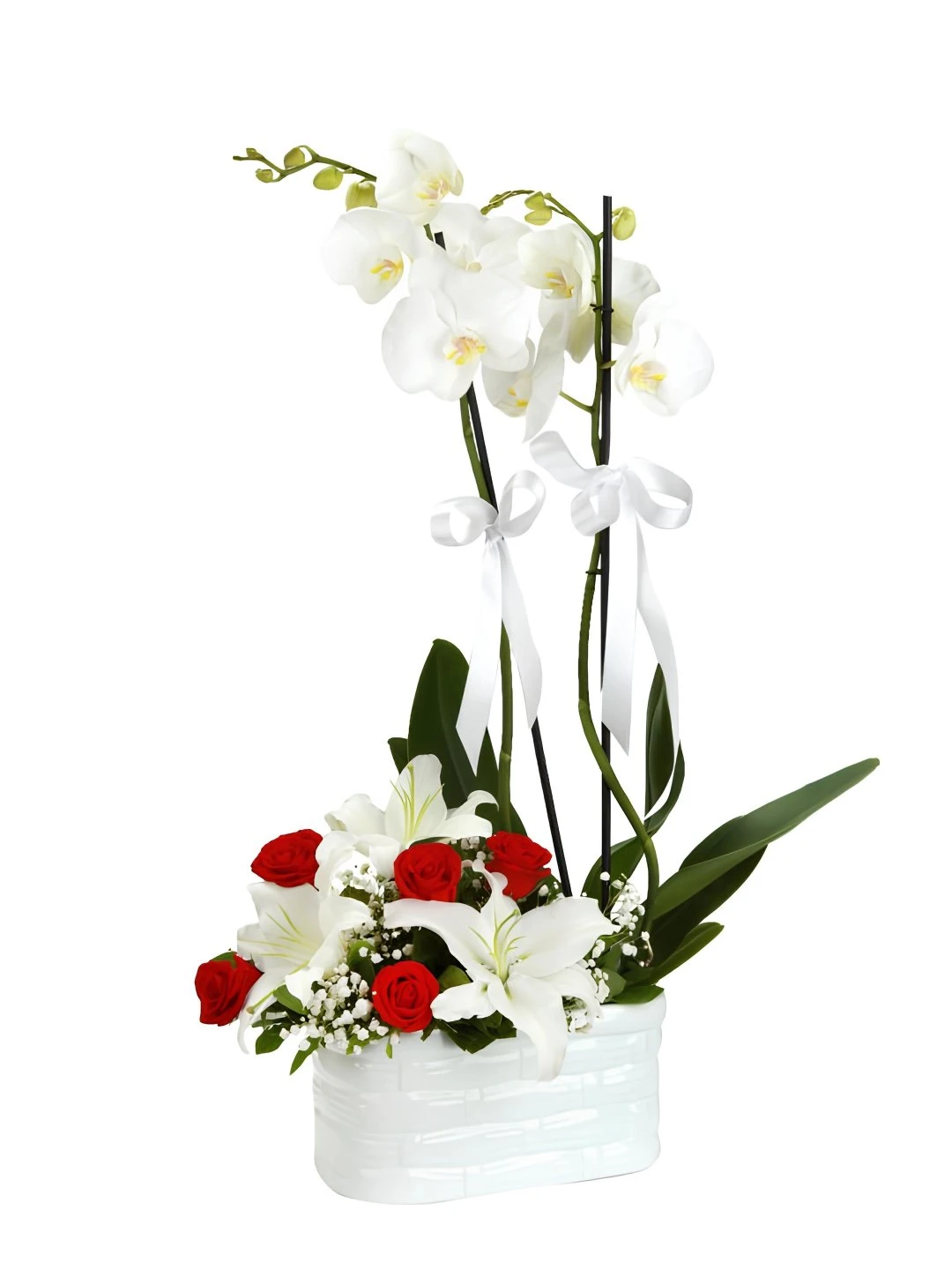 Çift Dallı Orkide ve Seramikte Güller